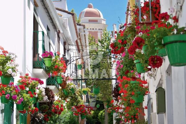 Terreno en calle Caridad, 40