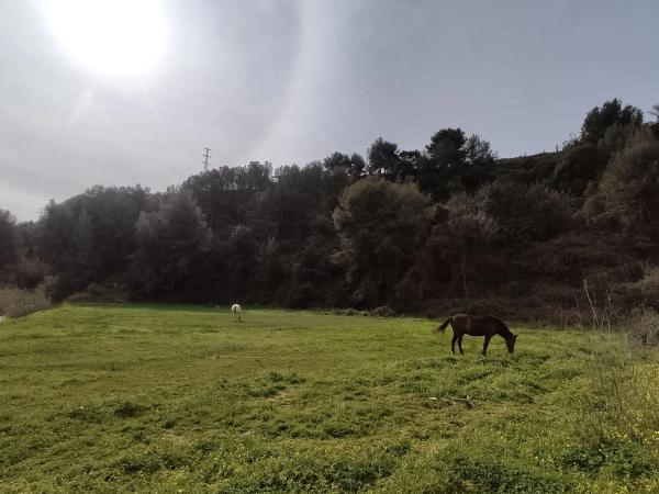 Terreno en Los Tablazos, 262