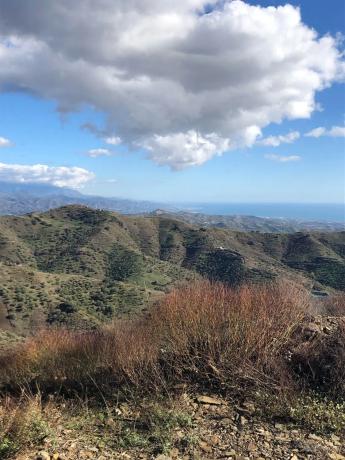 Terreno en Lomas de Cela s/n