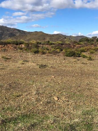 Terreno en Lomas de Cela s/n
