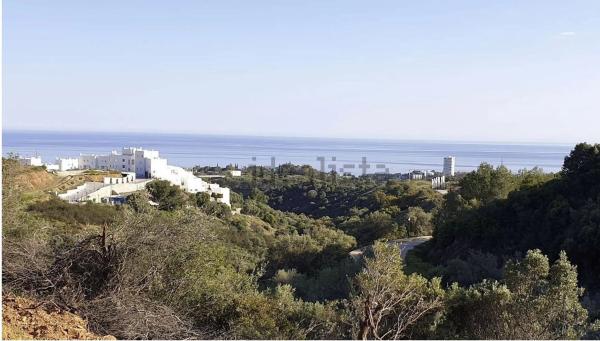 Terreno en carretera de Lomas de Marbella