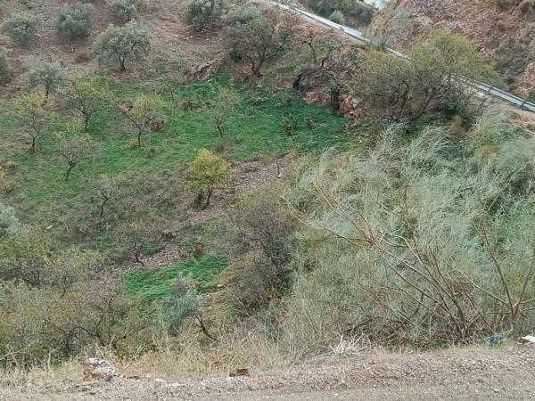 Terreno en Moclinejo