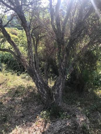 Terreno en Lugar Acedia, 25