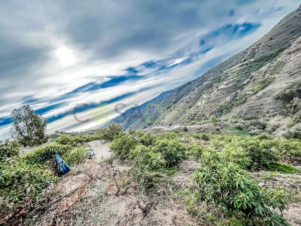 Terreno en Torrox Pueblo