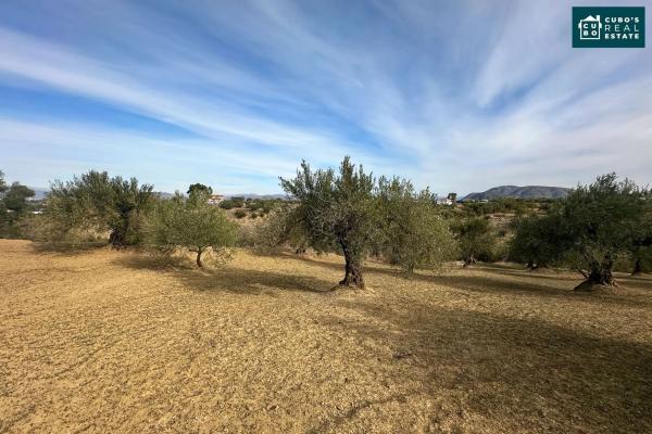 Terreno en Cucazorra s/n