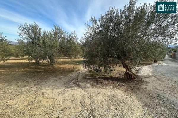 Terreno en Cucazorra s/n