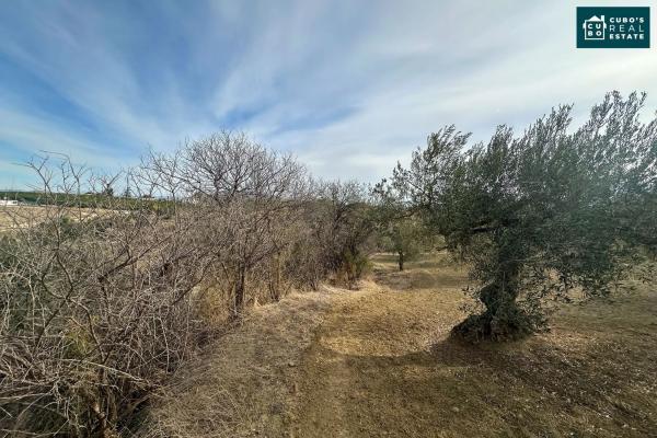 Terreno en Cucazorra s/n