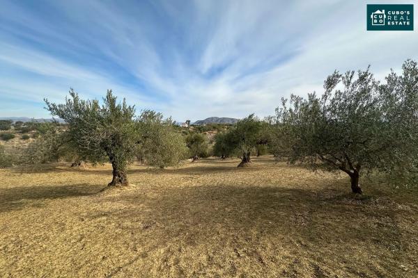 Terreno en Cucazorra s/n