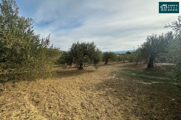 Terreno en Cucazorra s/n