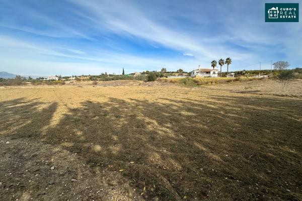 Terreno en El Cigarral - Dehesa - Borrajo