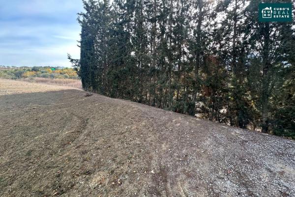 Terreno en El Cigarral - Dehesa - Borrajo