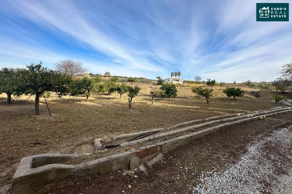 Terreno en El Cigarral - Dehesa - Borrajo