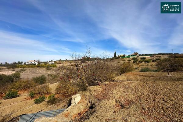 Terreno en El Cigarral - Dehesa - Borrajo