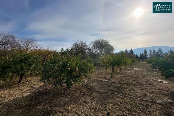 Terreno en El Cigarral - Dehesa - Borrajo