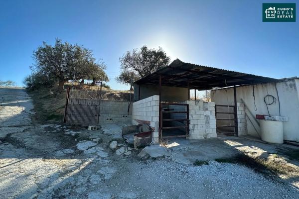 Terreno en Pd Quinto s/n