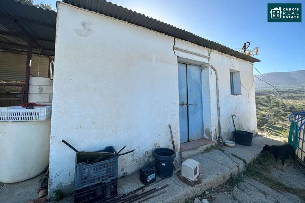 Terreno en Pd Quinto s/n