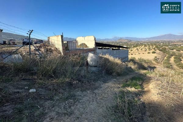 Terreno en Pd Quinto s/n