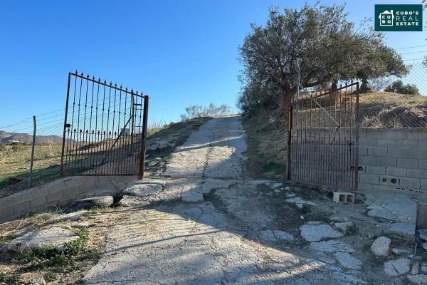 Terreno en Pd Quinto s/n