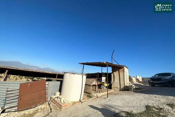 Terreno en Pd Quinto s/n