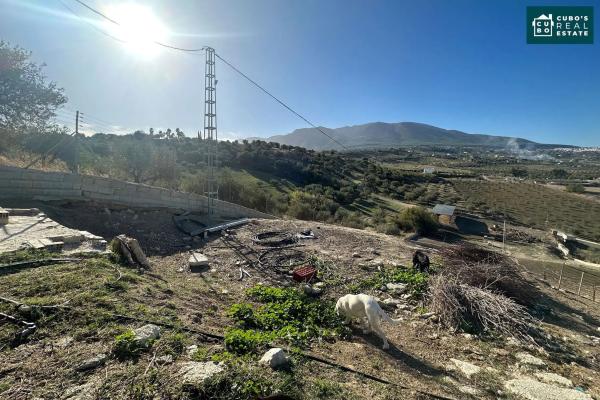 Terreno en Pd Quinto s/n