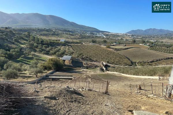 Terreno en Pd Quinto s/n