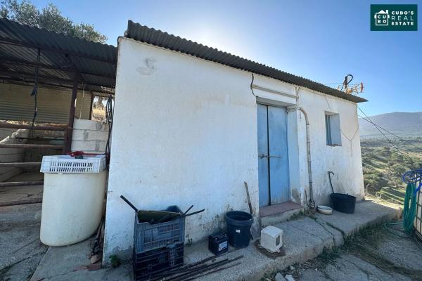 Terreno en Pd Quinto s/n