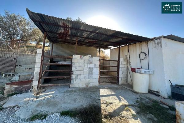 Terreno en Pd Quinto s/n