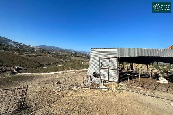 Terreno en Pd Quinto s/n