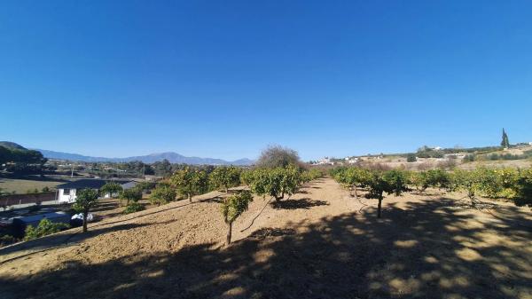 Terreno en El Cigarral - Dehesa - Borrajo