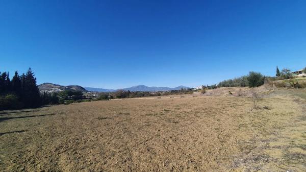 Terreno en El Cigarral - Dehesa - Borrajo
