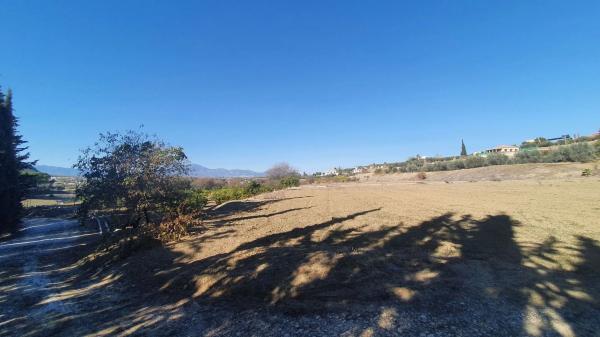 Terreno en El Cigarral - Dehesa - Borrajo