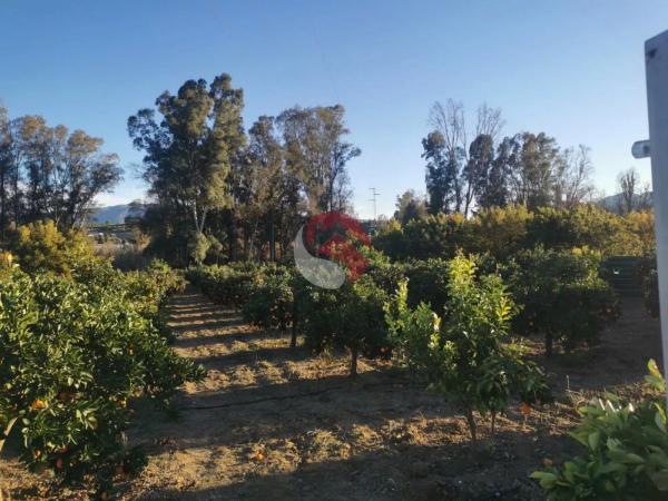 Terreno en Diseminados