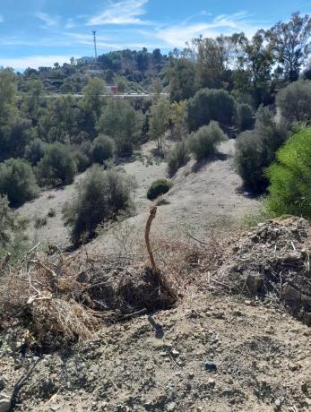 Terreno en Arroyo Elviria 2, 1