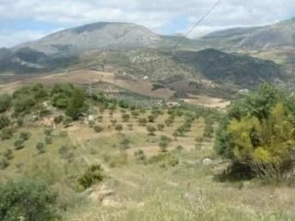 Terreno en calle De La Parra