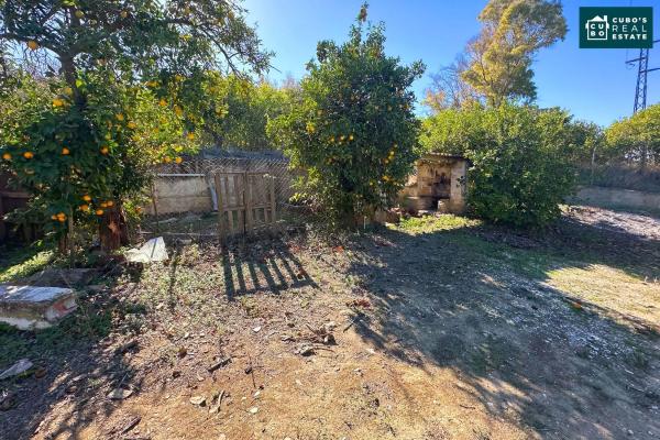 Terreno en Zangano s/n