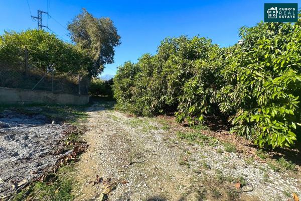 Terreno en Zangano s/n