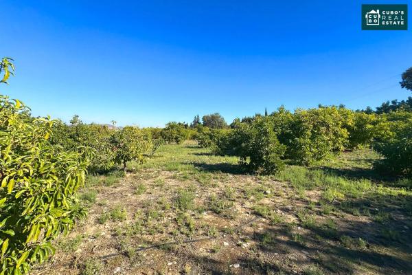 Terreno en Zangano s/n