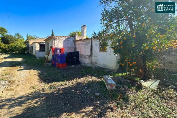 Terreno en Zangano s/n