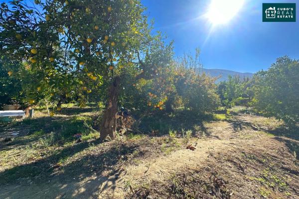 Terreno en Zangano s/n