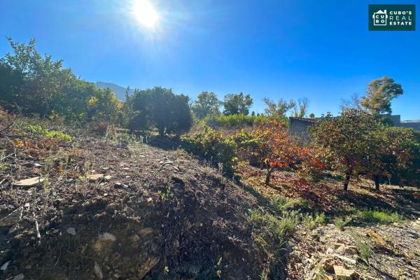 Terreno en Zangano s/n