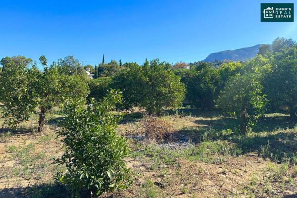 Terreno en Zangano s/n