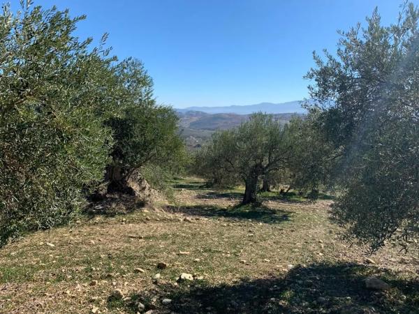 Terreno en Casarabonela