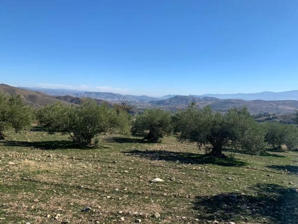 Terreno en Casarabonela