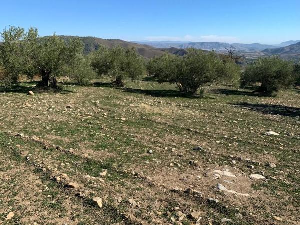 Terreno en Casarabonela
