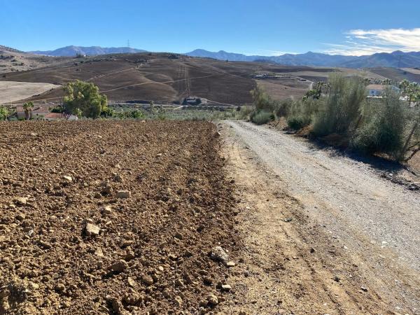 Terreno en Diseminado Poligono 5, 61