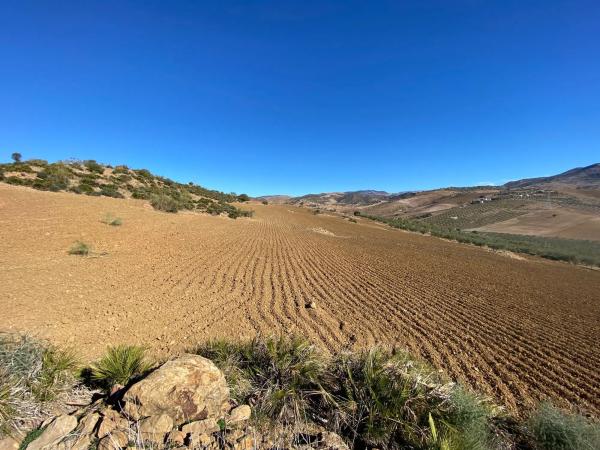 Terreno en Diseminado Poligono 5, 61