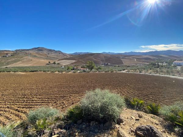 Terreno en Diseminado Poligono 5, 61