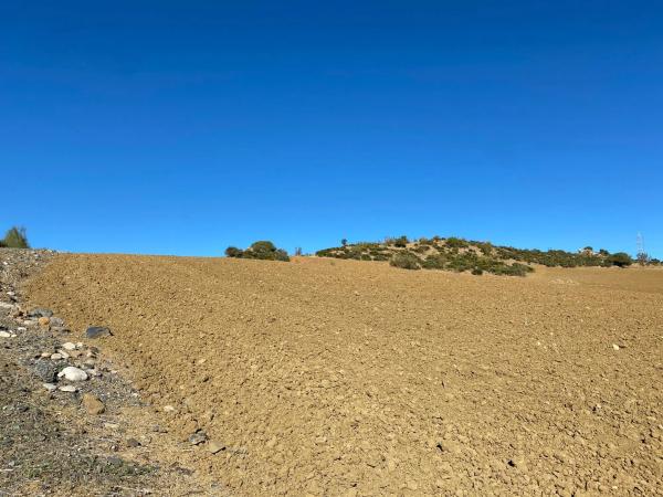 Terreno en Diseminado Poligono 5, 61