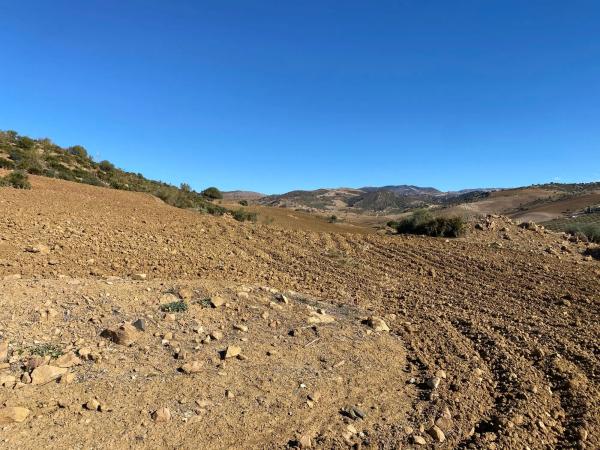 Terreno en Diseminado Poligono 5, 61