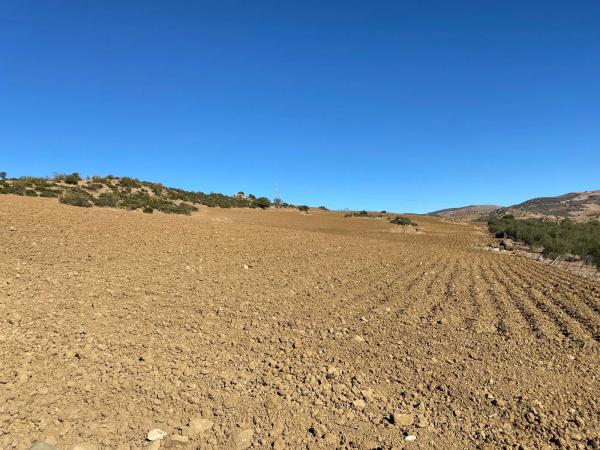 Terreno en Diseminado Poligono 5, 61